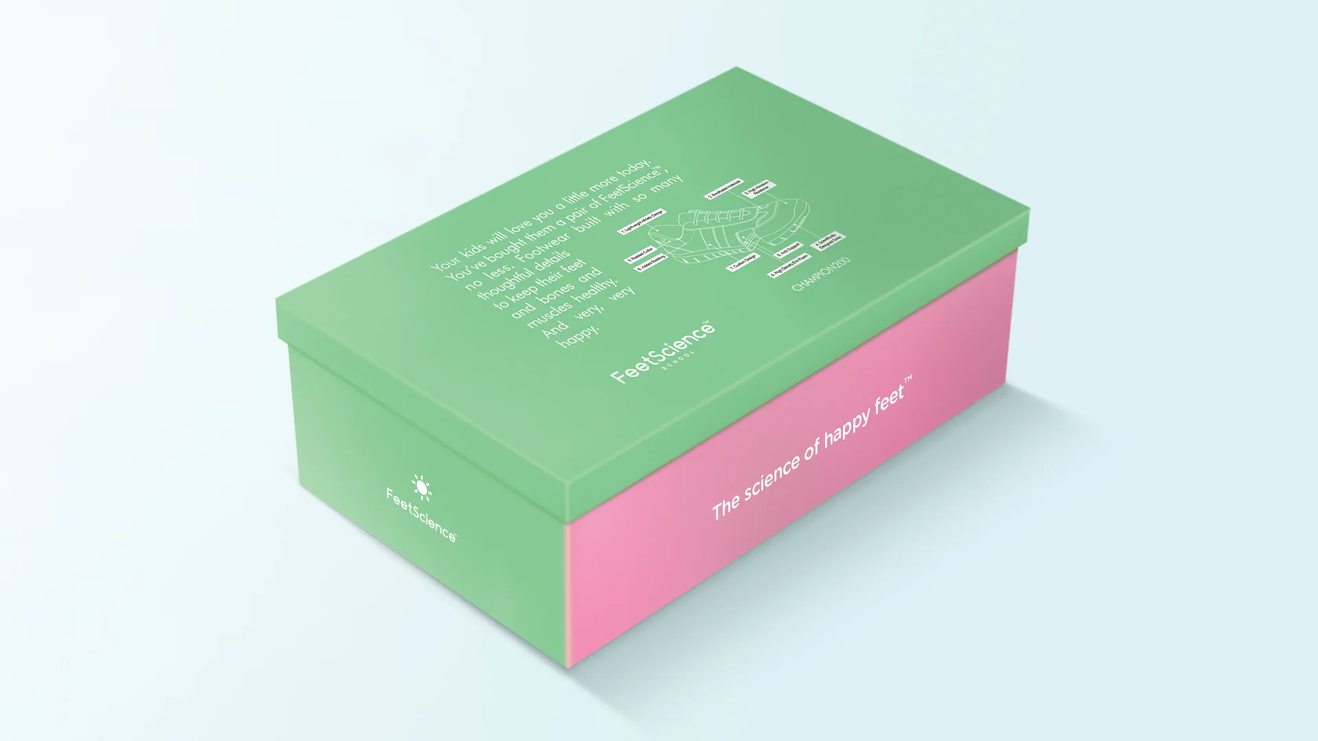 FS-Box-1.jpg
