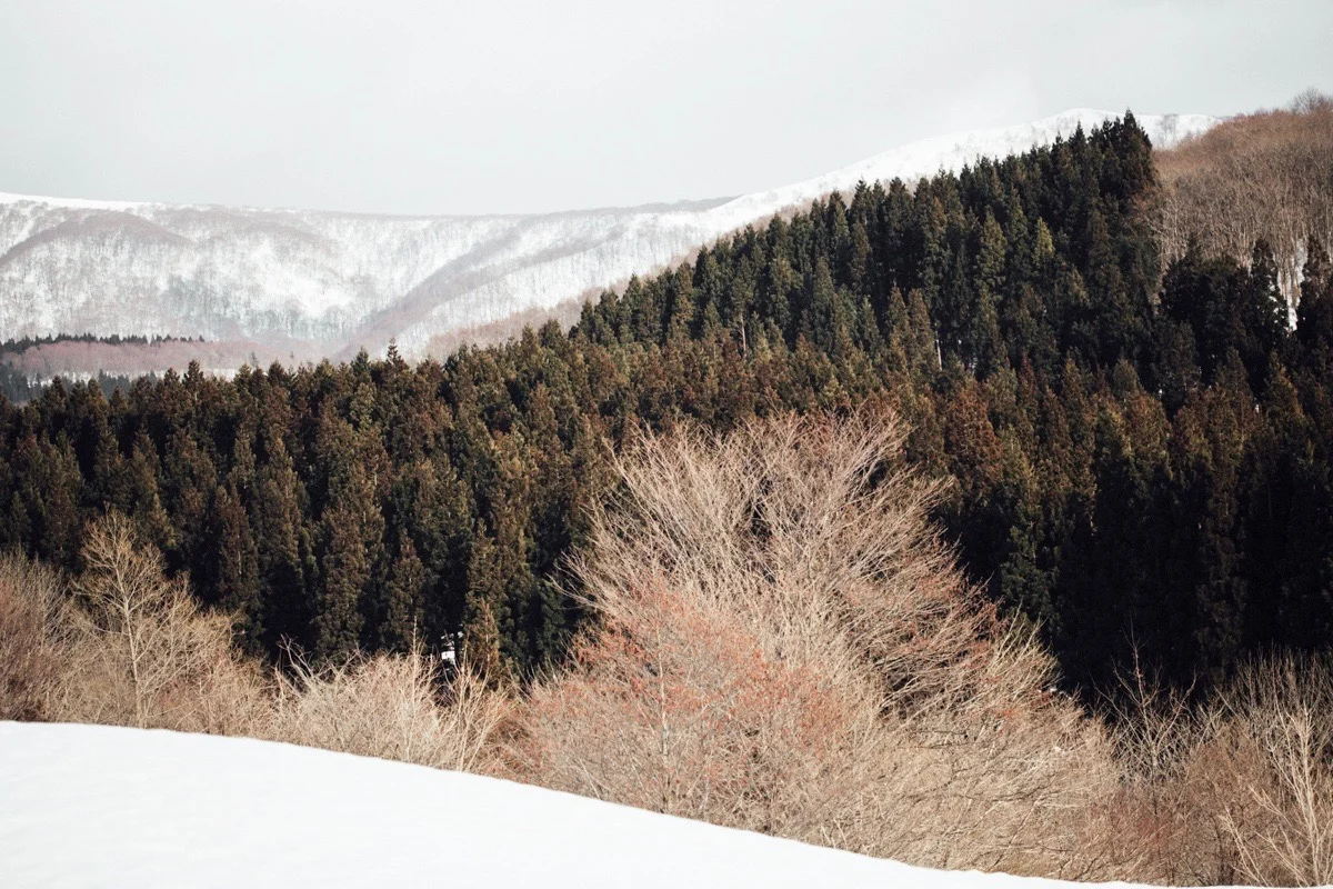 magnolia_mountain_snow_country_akita.jpg