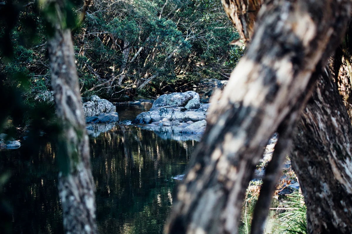 magnolia_mountain_campfire_gloucester_river_XVIII.jpg