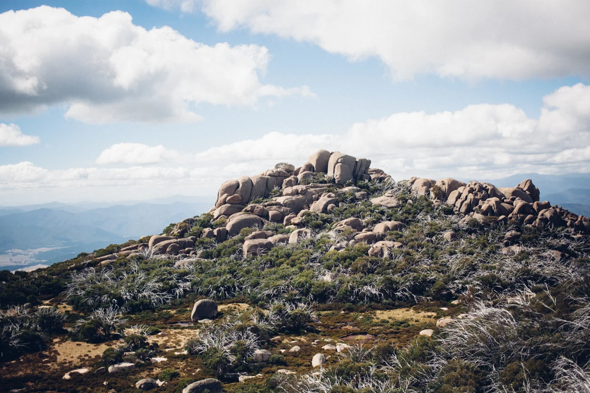 magnolia_mountain_highlands_II.jpg