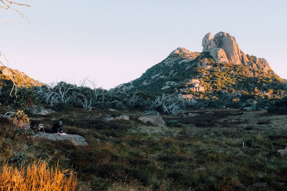 magnolia_mountain_highlands_mt_buffalo_I.jpg
