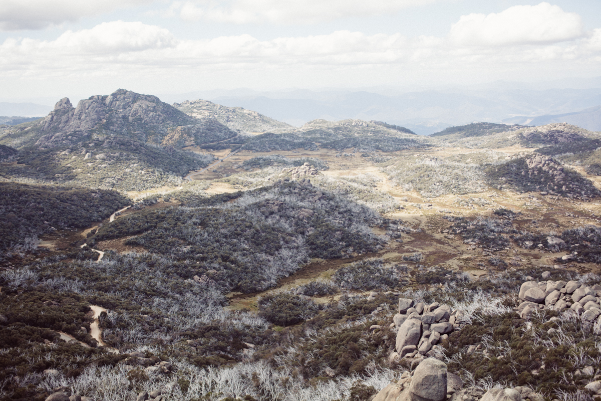 magnolia_mountain_highlands_mt_buffalo_VII.jpg