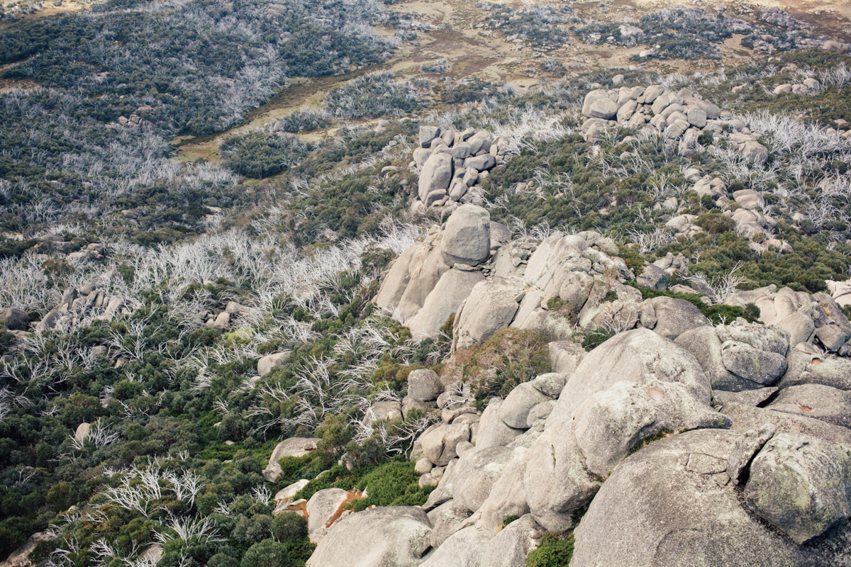 magnolia_mountain_highlands_VIII.jpg