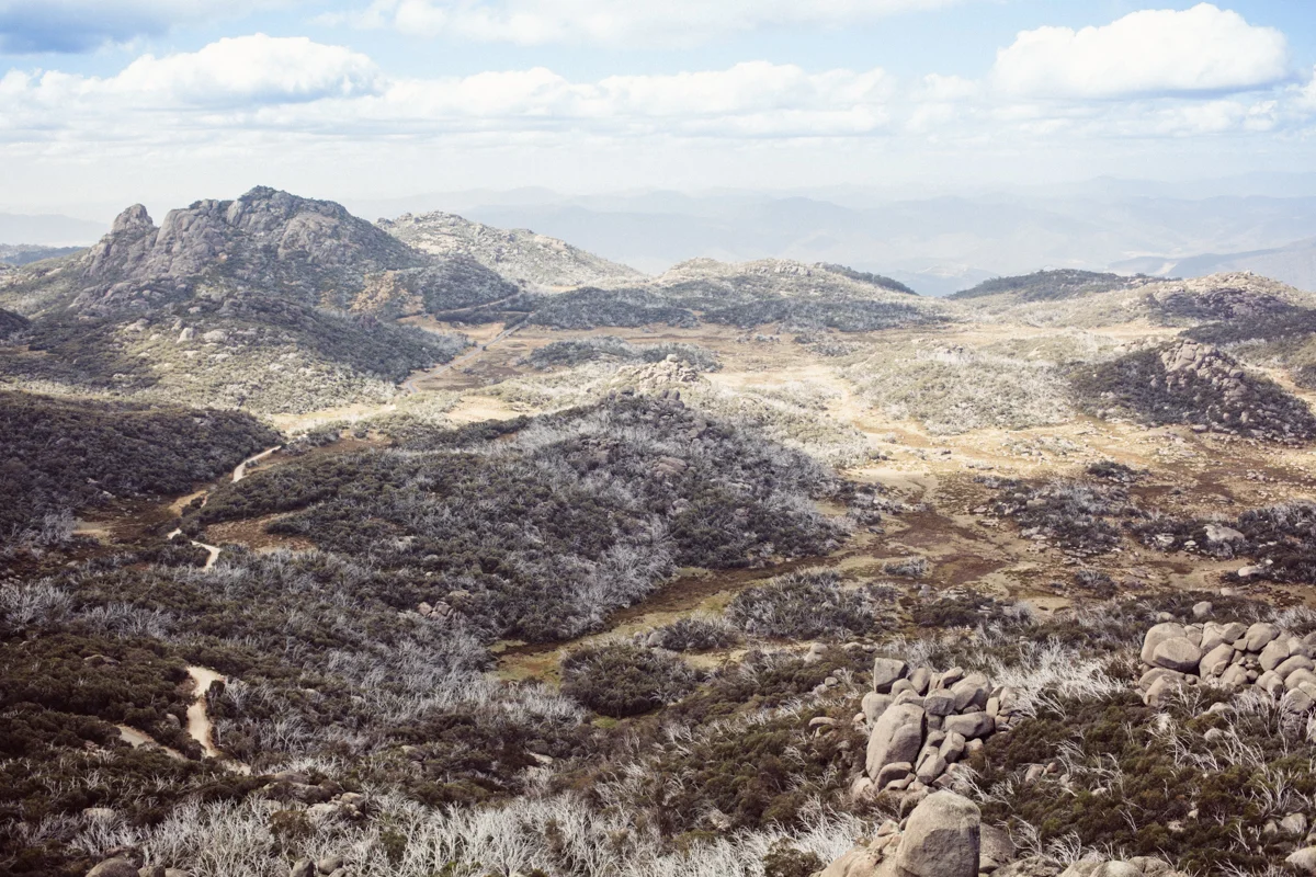 magnolia_mountain_highlands_giants -1.jpg