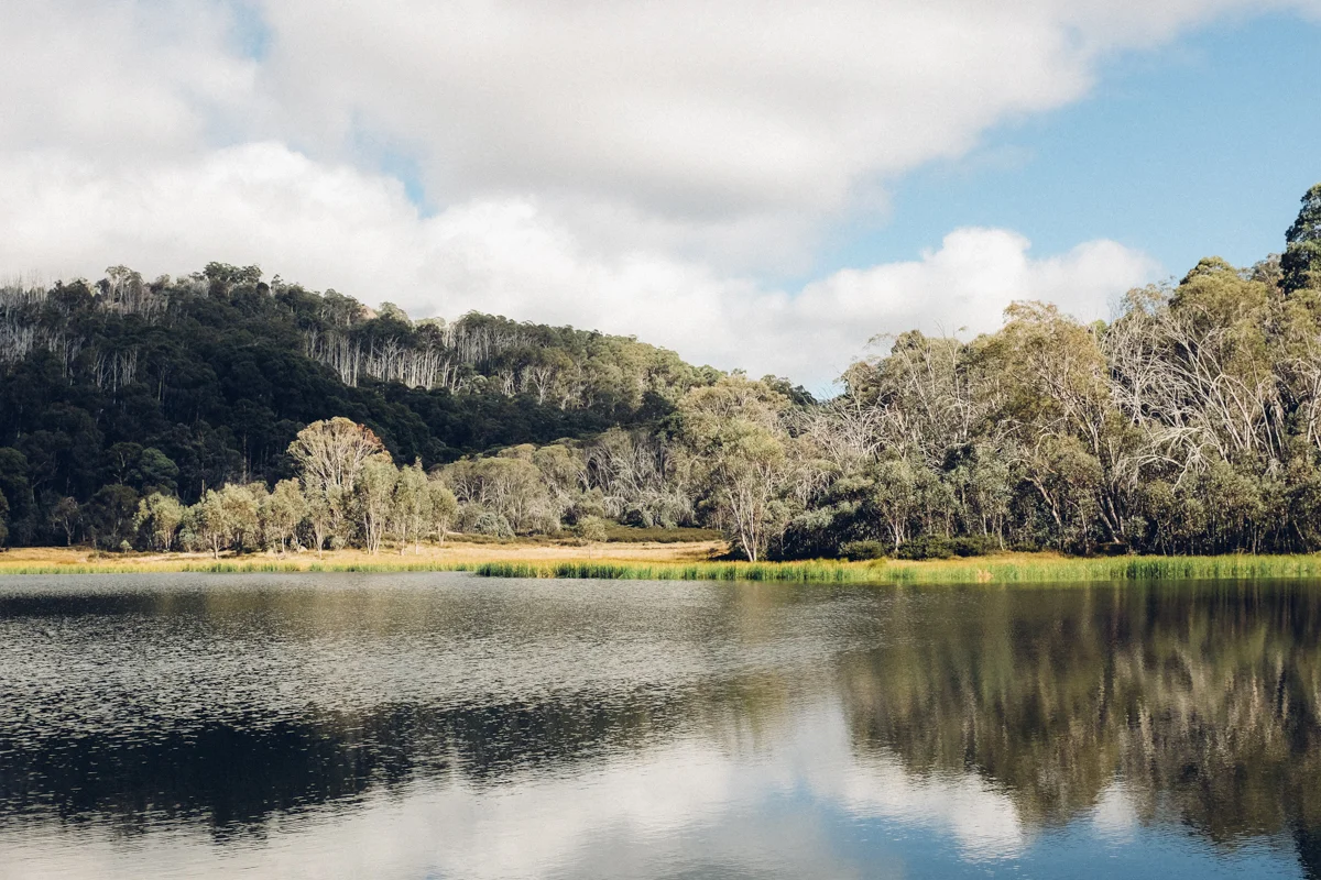 magnolia_mountain_lake_katani-1.jpg