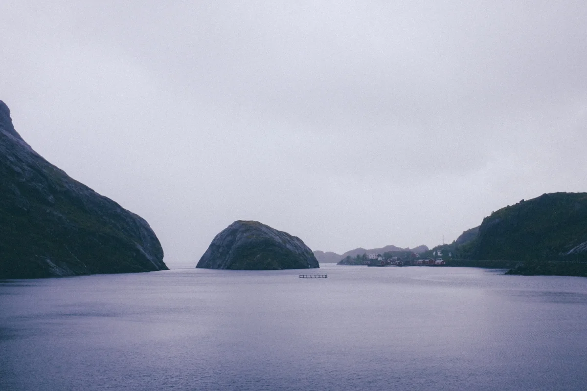magnolia_mountain_lofoten_rain_rorbuer_nusfjord.jpg