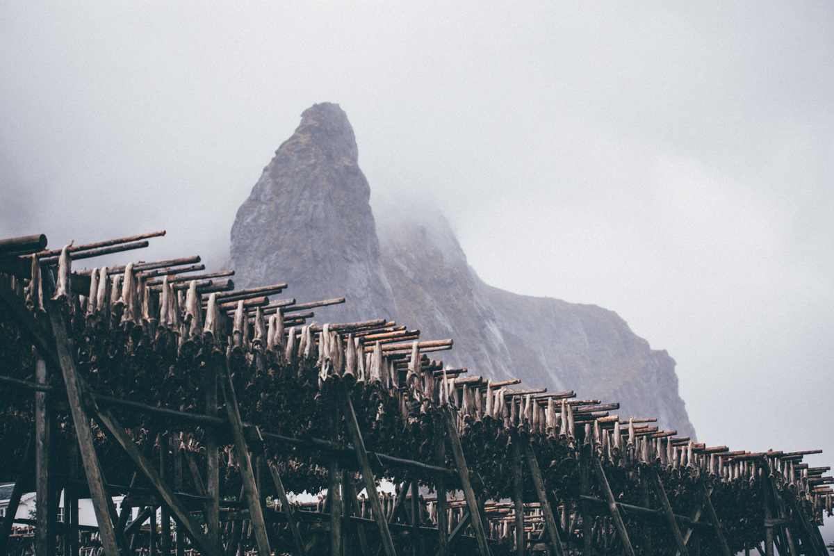 magnolia_mountain_lofoten_rain_rorbuer_VIII.jpg