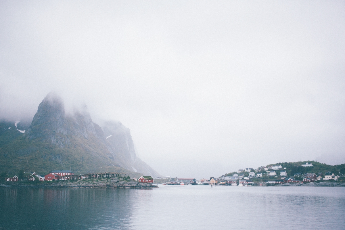 magnolia_mountain_nordland_regn_-2.jpg