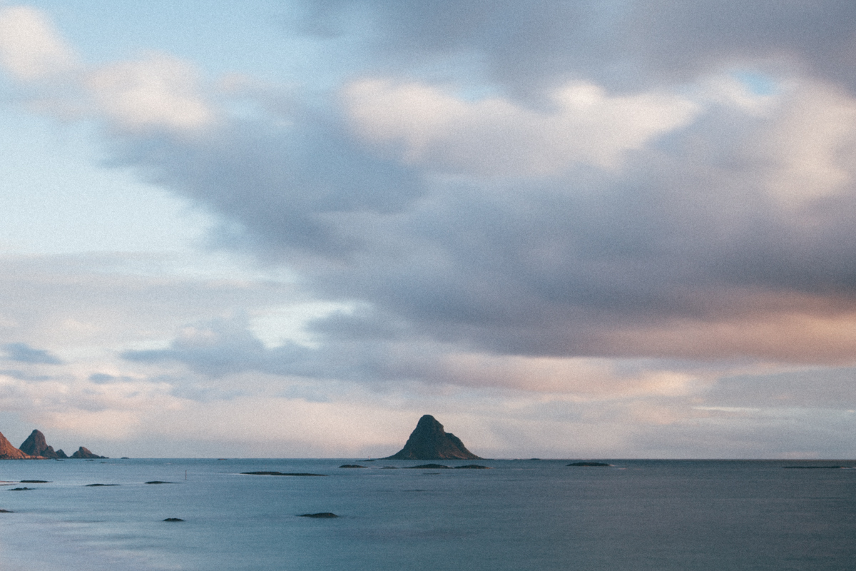 Magnolia_mountain_nordland_bleiksoya.jpg