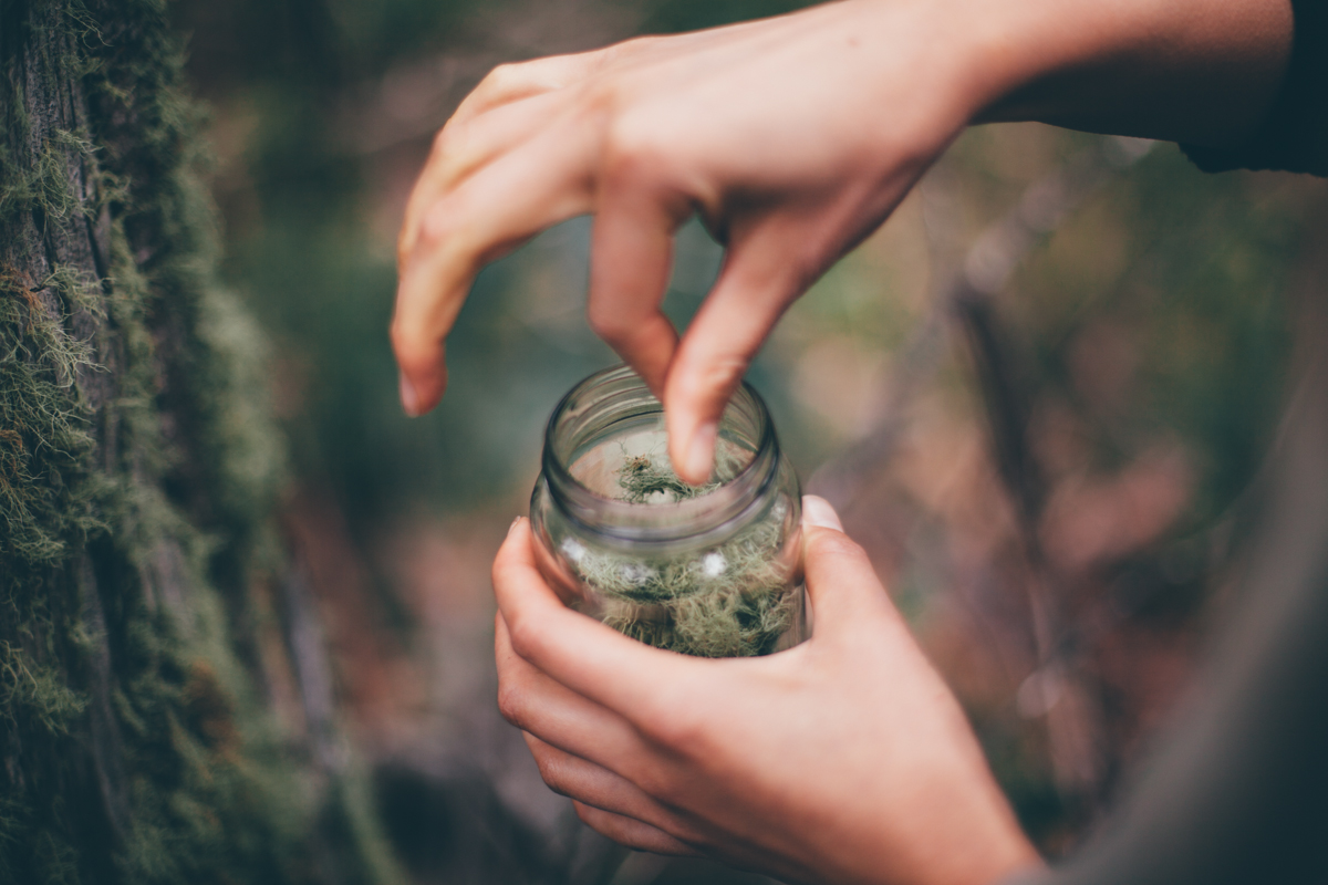 magnolia_mountain_process_diary_lichen_jar.jpg
