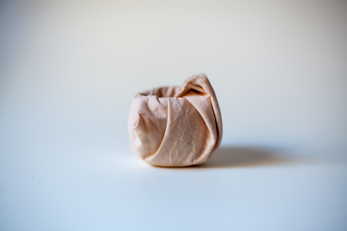 magnolia_mountain_windfall_process_XVII.jpg