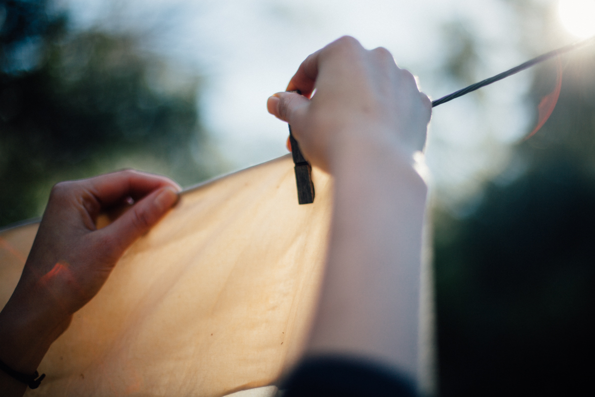 magnolia_mountain_windfall_process_dye_IV.jpg