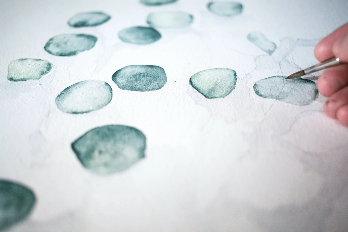 magnolia_mountain_windfall_watercolour_silver_dollar.jpg