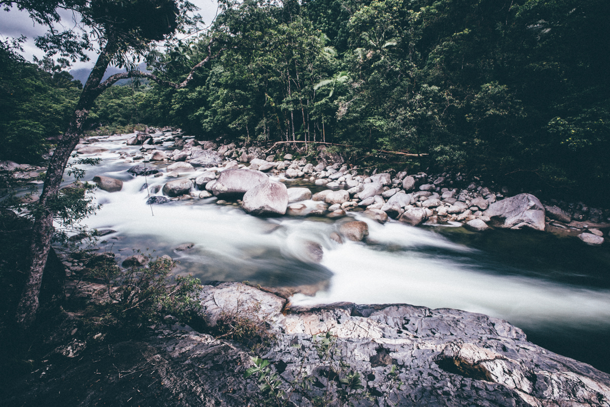 Magnolia_Mountain_Mossman_Gorge.jpg