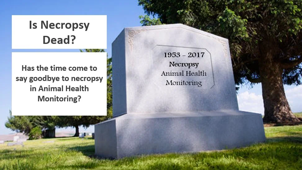 Is necropsy dead.JPG