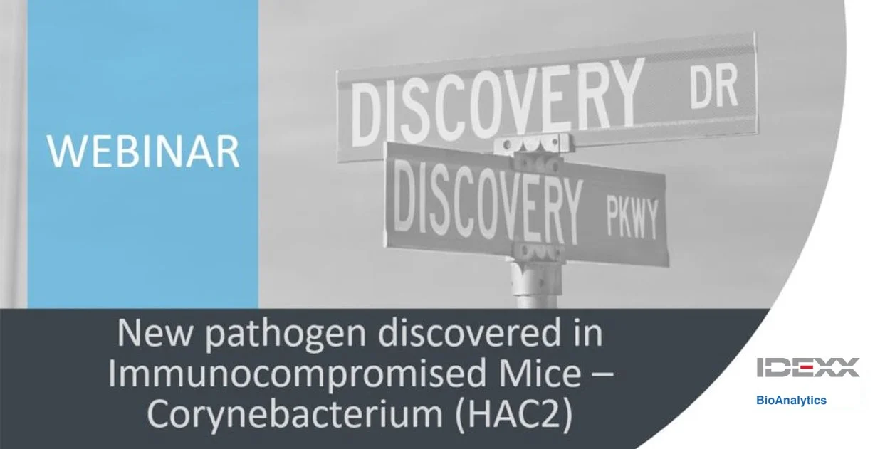 New pathogen discovered in Immunocompromised Mice