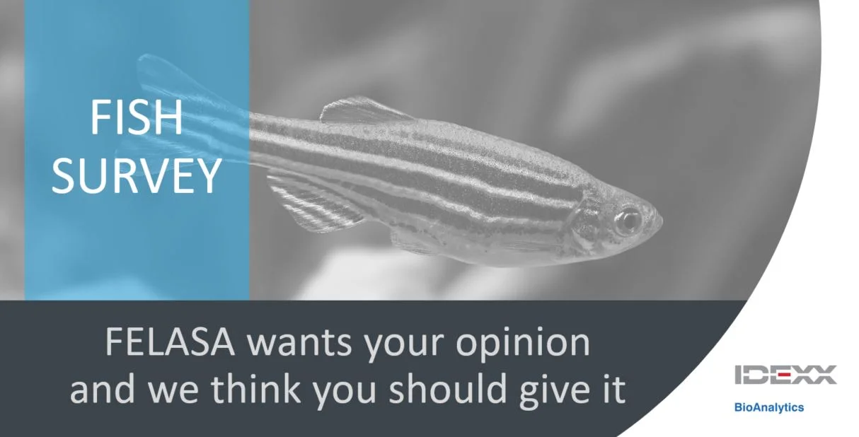 FELASA Survey On Fish Health Monitoring