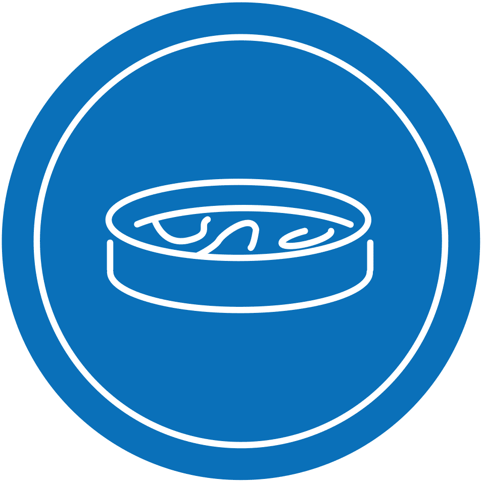 IBA-ICONs-Bio.png