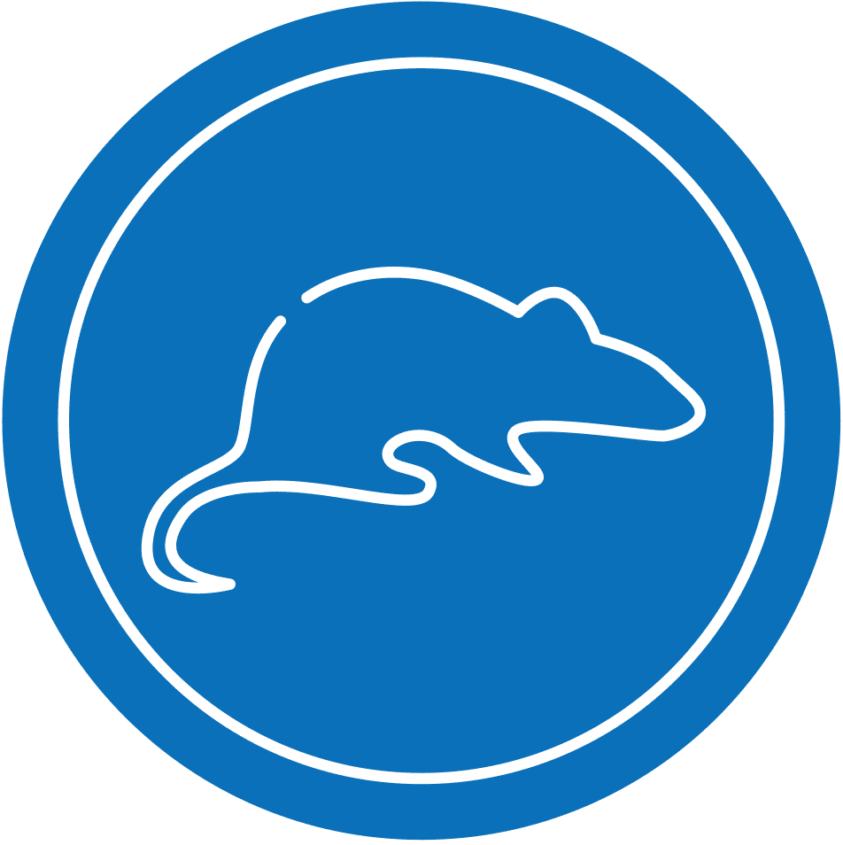 IBA-ICONs-AHM.png