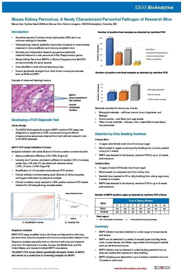 poster mkpv Capture.JPG