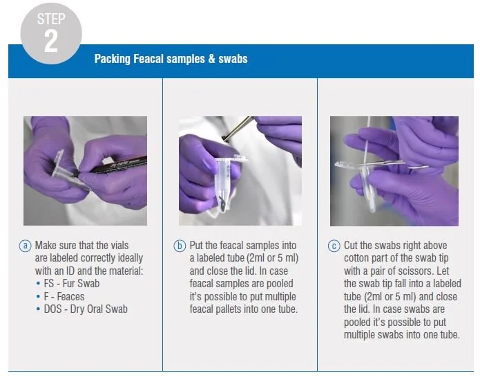 Collection and shipping 06.JPG