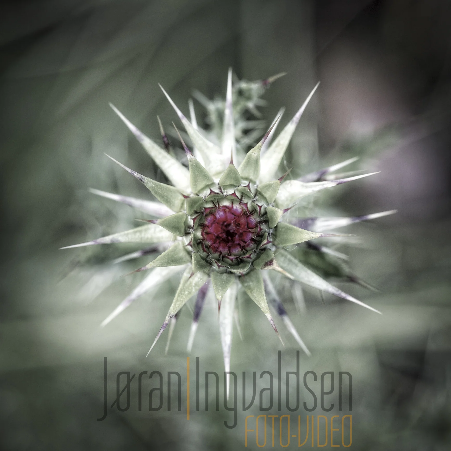 29 june__375-Edit.jpg