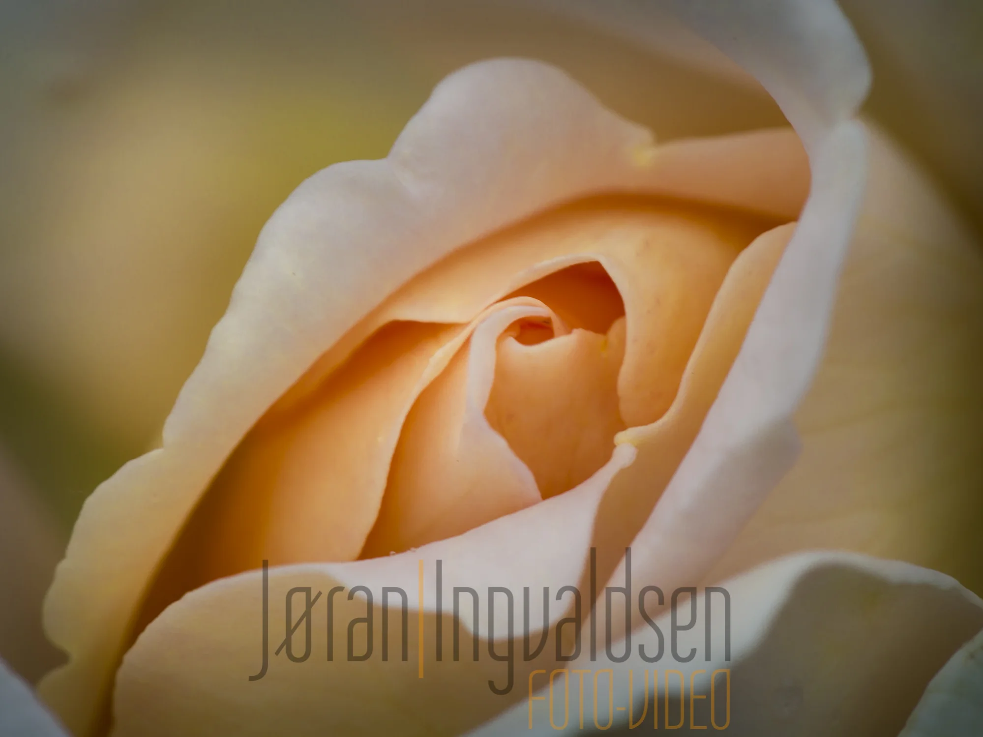 Hardangervidda juli 2015-18.jpg