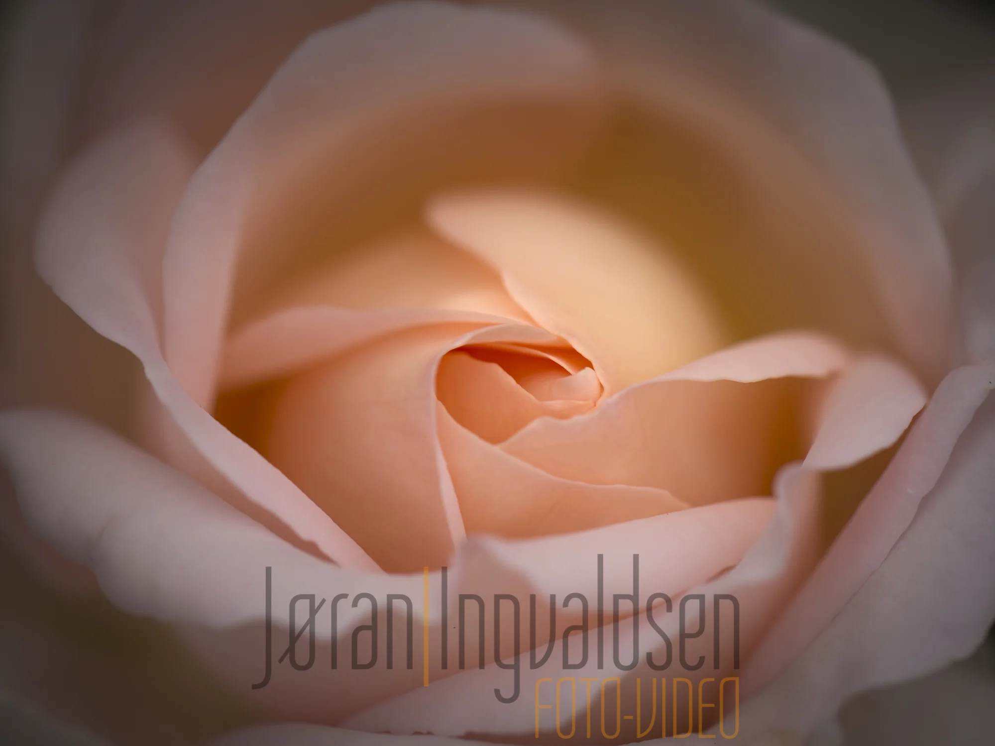 Hardangervidda juli 2015-40.jpg