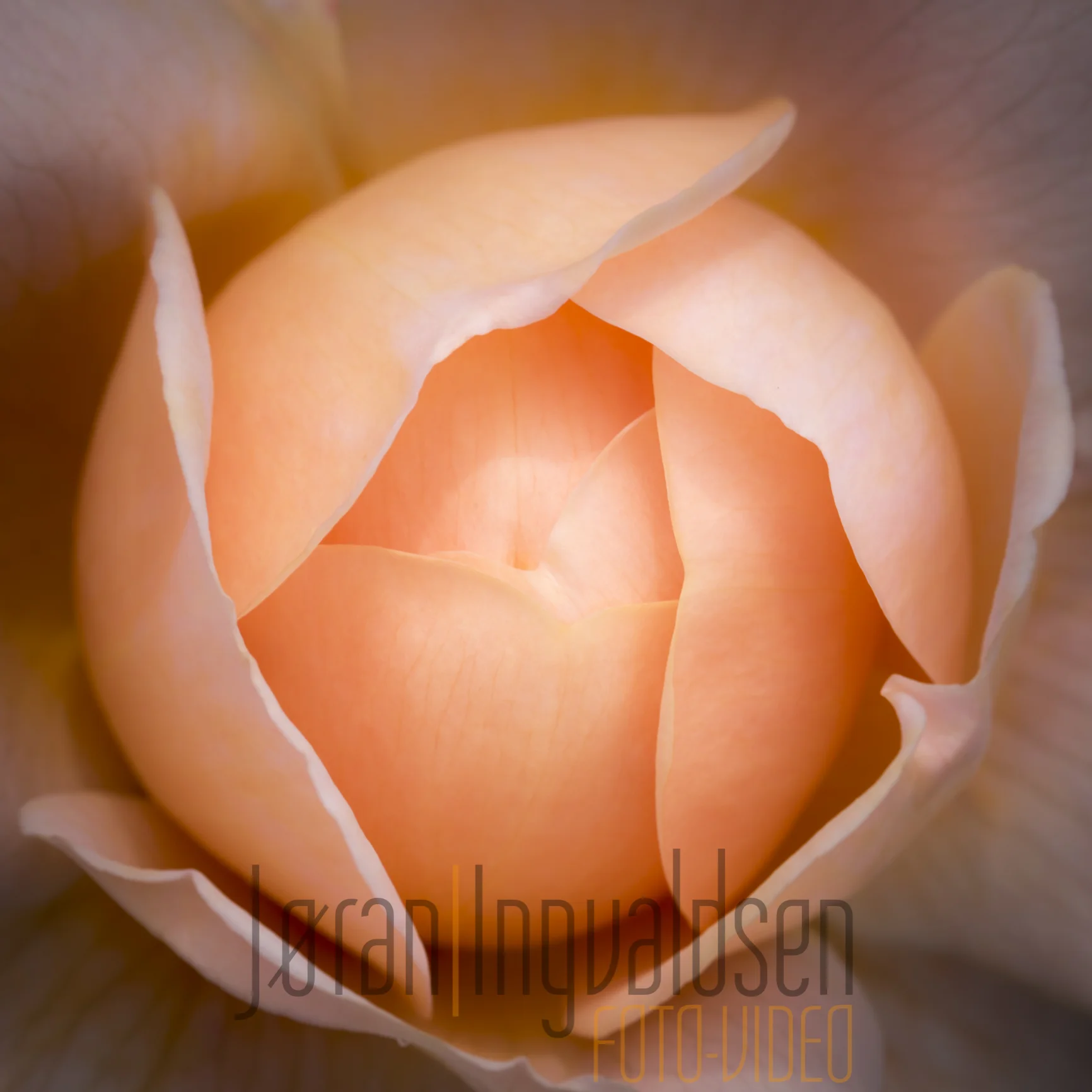 Hardangervidda juli 2015-31-Edit.jpg