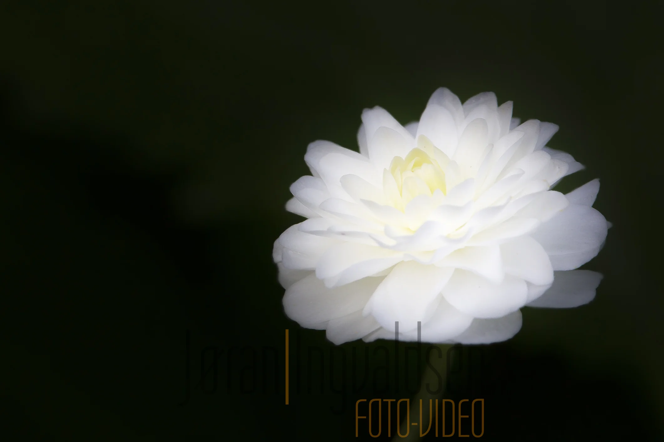 Makro Hage Mai 26 2017-26-Edit-2.jpg