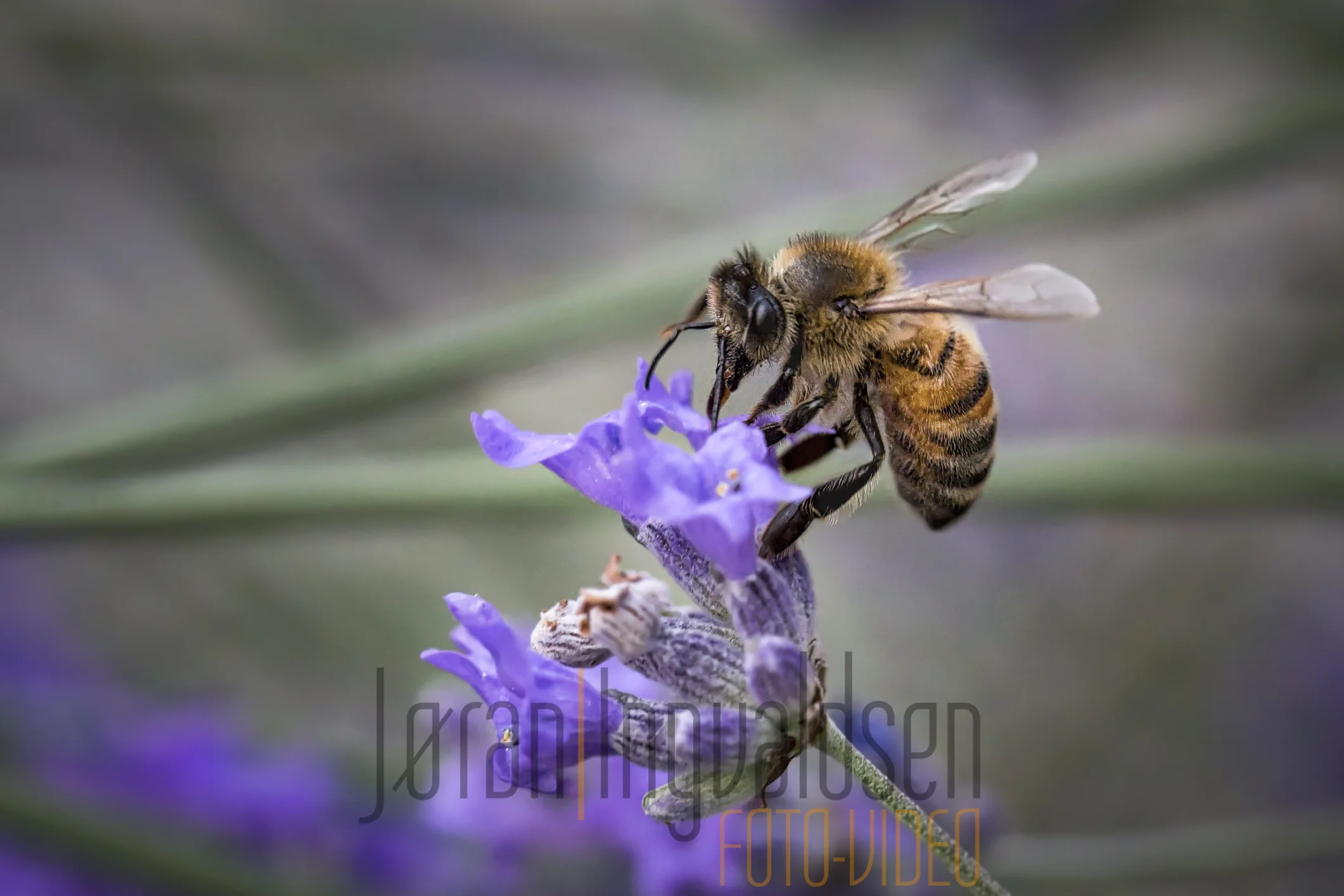 23 June-032-Edit-Edit-2.jpg