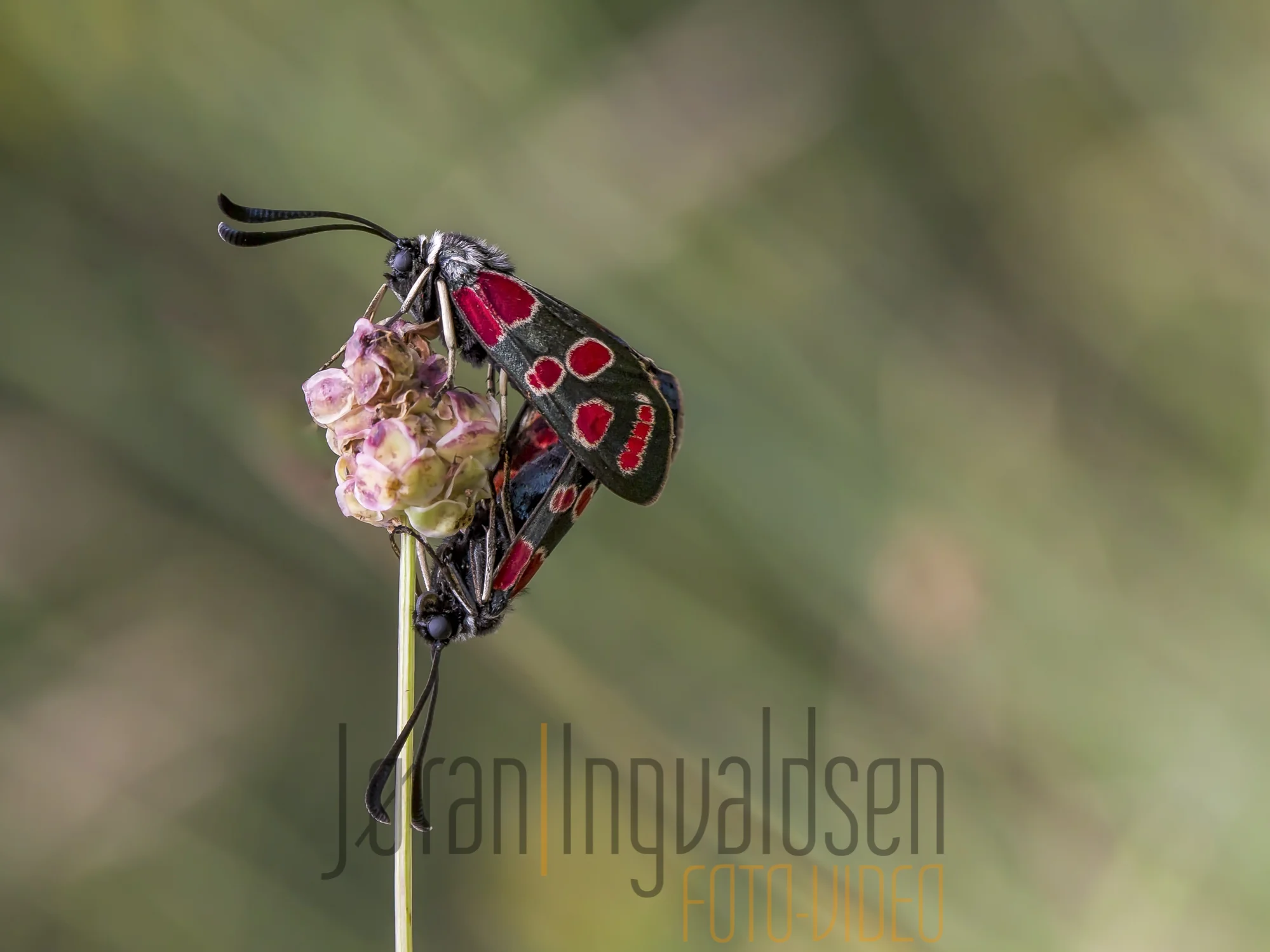 29 june__049-Edit-Edit-Edit.jpg