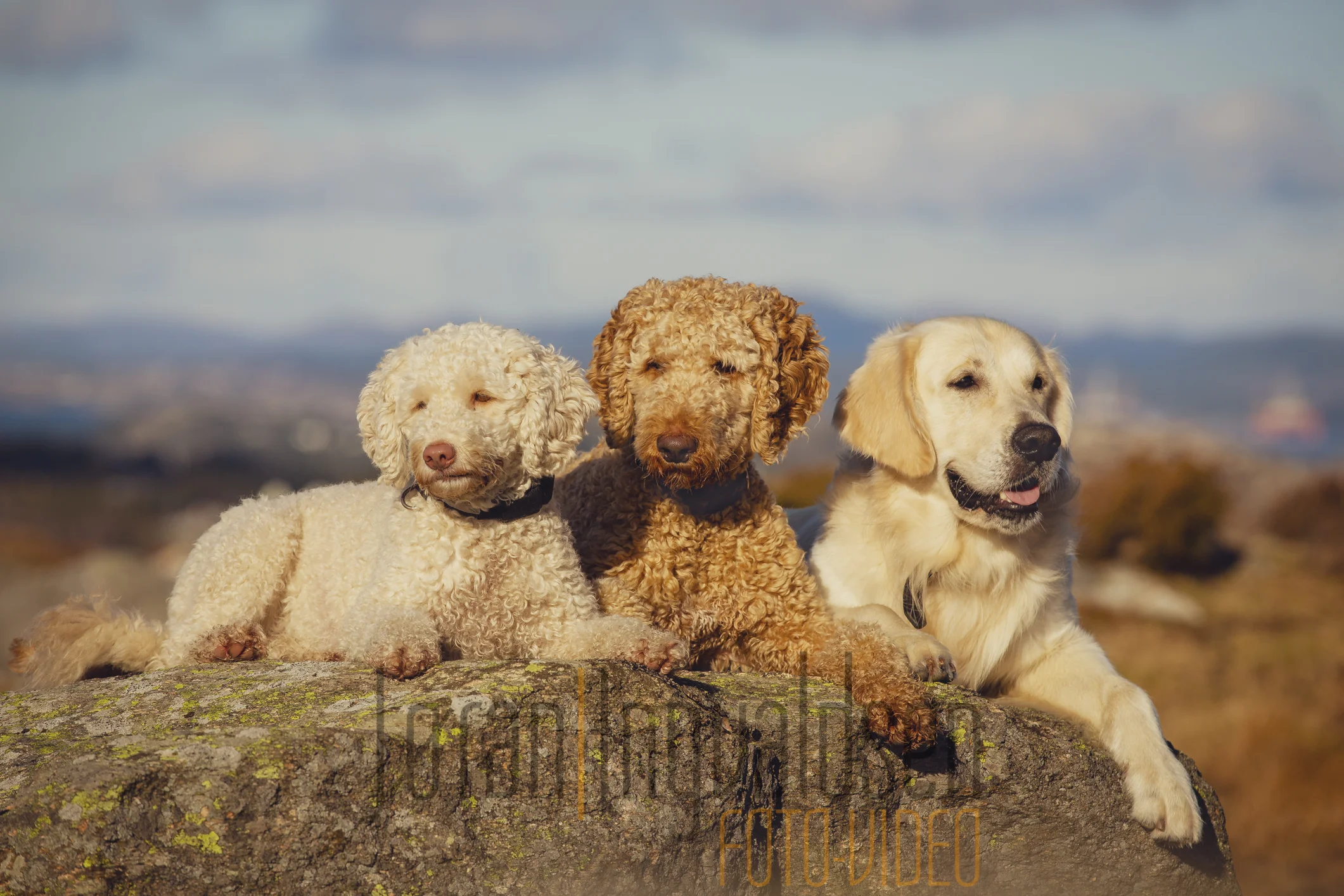 Alle gode ting er tre!