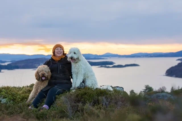 Teddy Doodles Delight