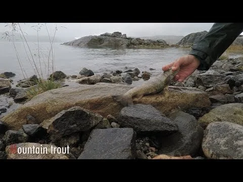 Hardangertun Gjestehus