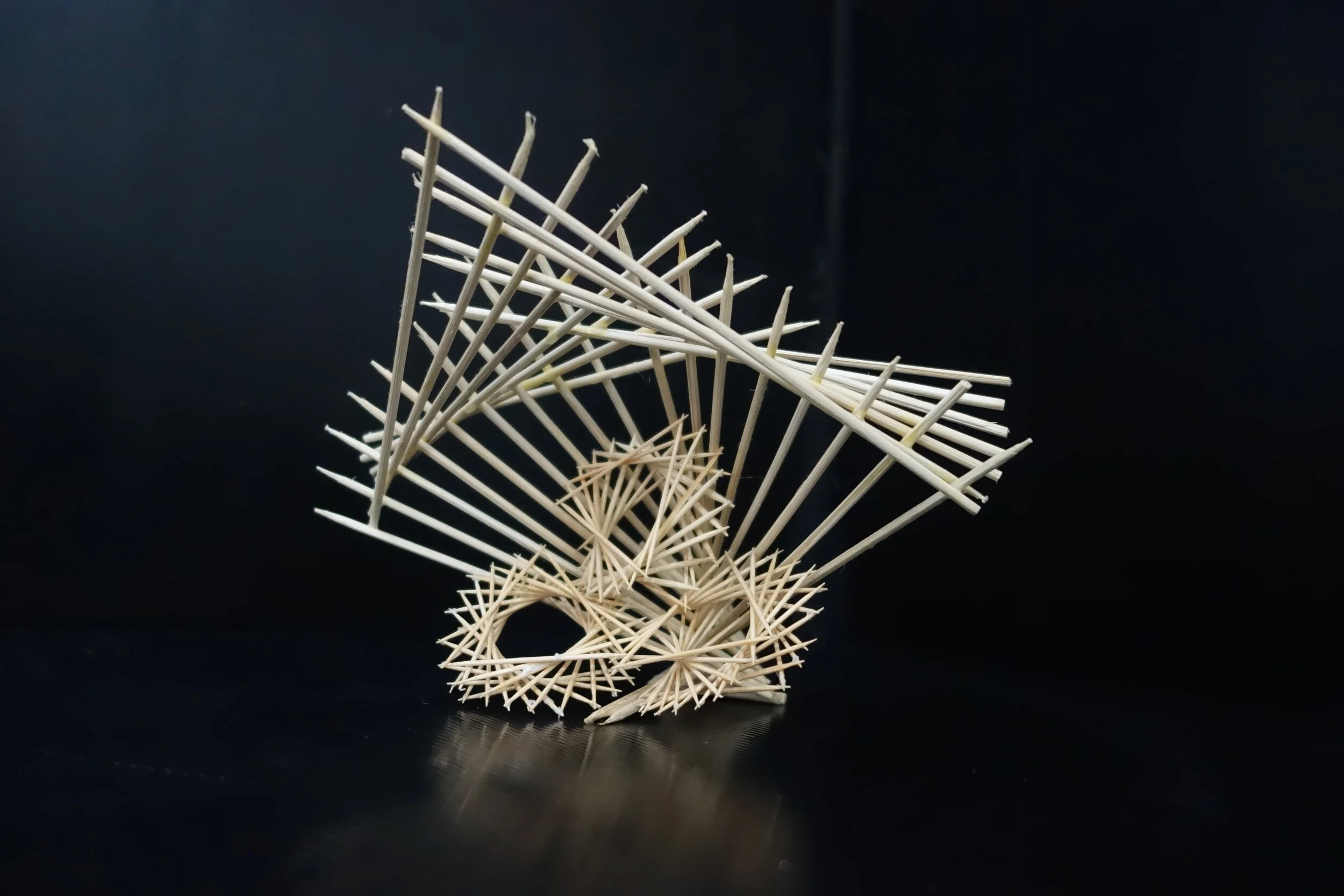 Linear Toothpick Sculpture