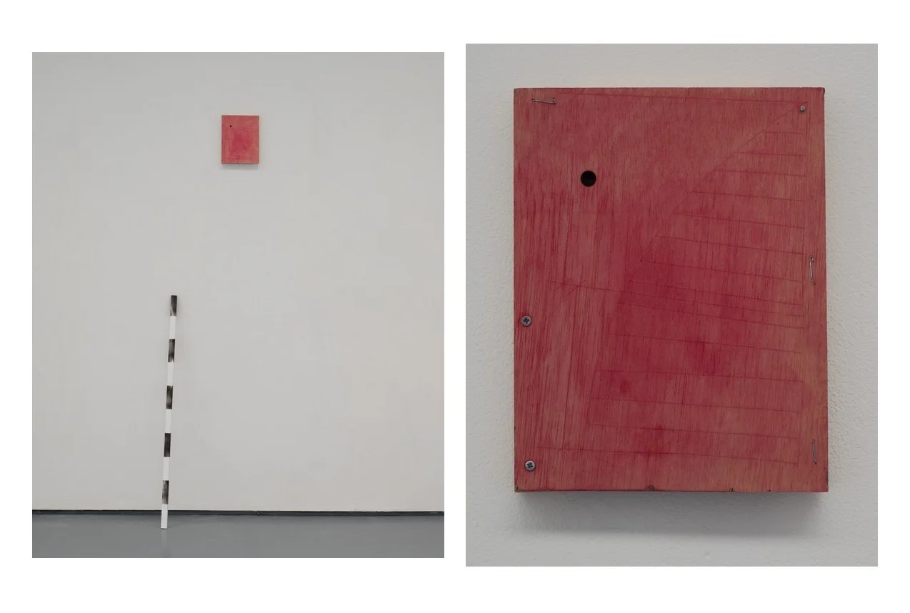 Flesh and Metre Rule (98cm) in installation view at Bloc Projects, April 2017, and detail of Flesh (gouache on panel)