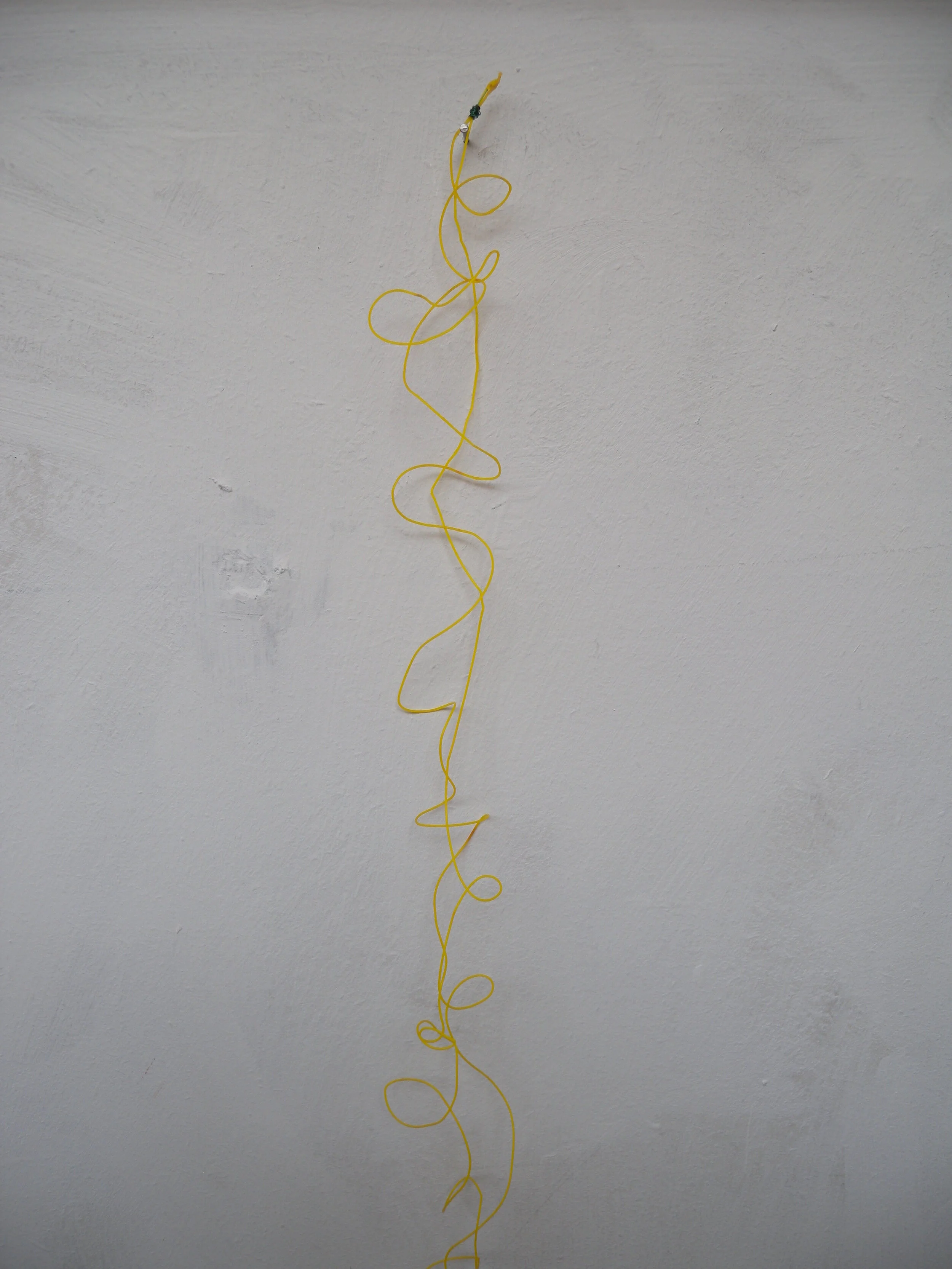 fishing wire (detail 1).JPG