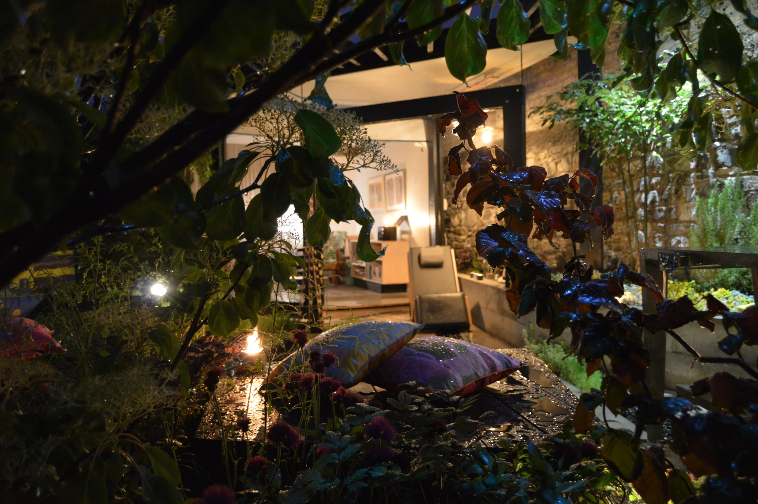 BRENNAN-FURLONG-BLOOM-2017-NIGHTIME_2.JPG