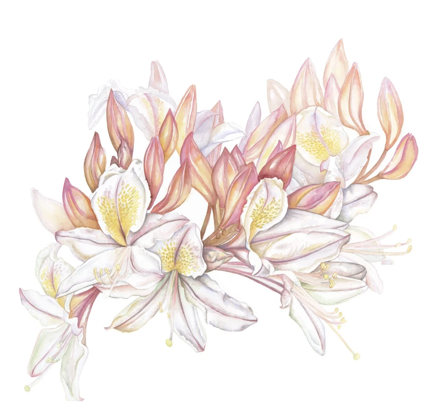 La Caricia - Archival Print