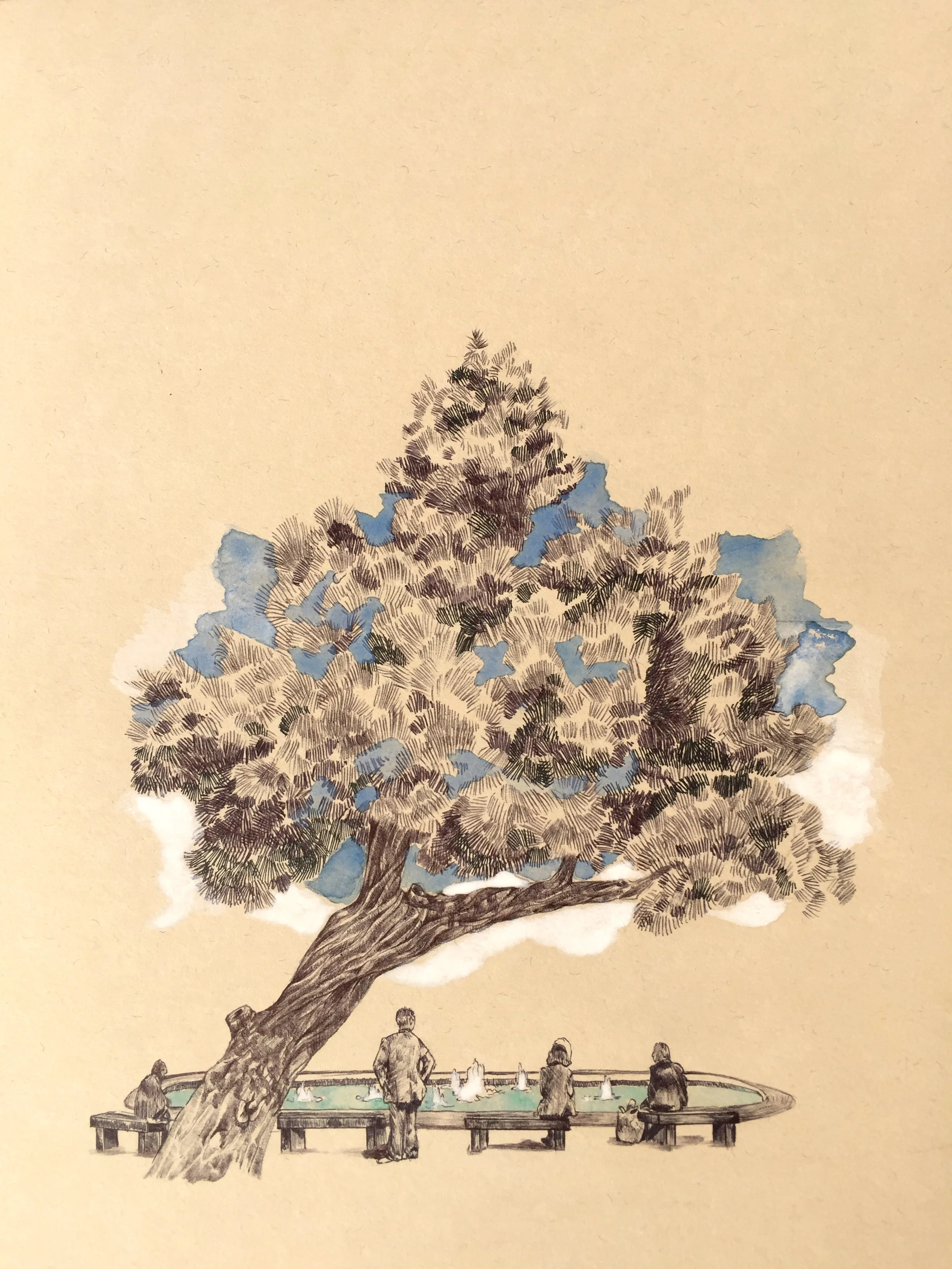 Tree from Parku mbrapa Operas