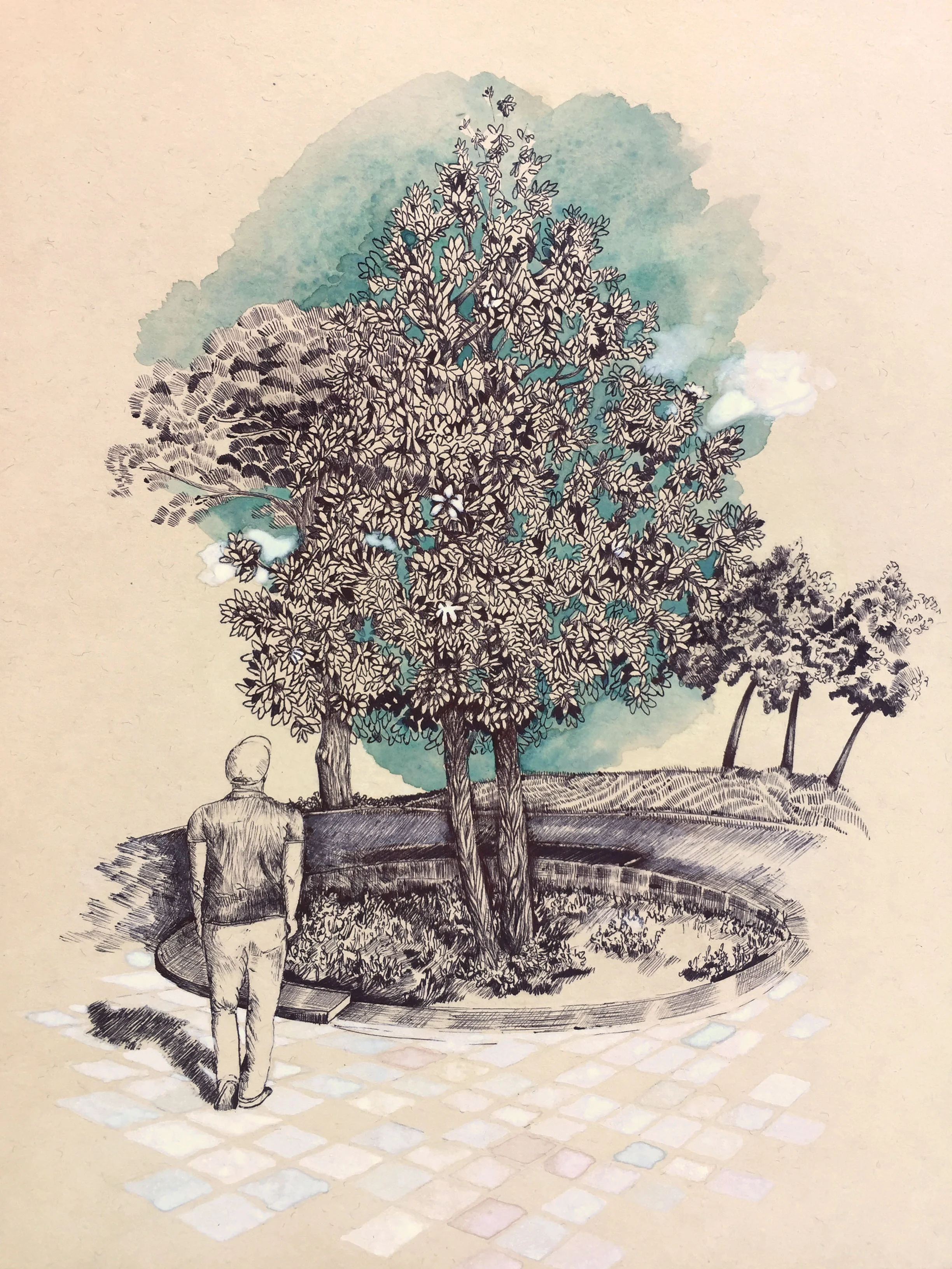 Tree from Skanderbeg Square