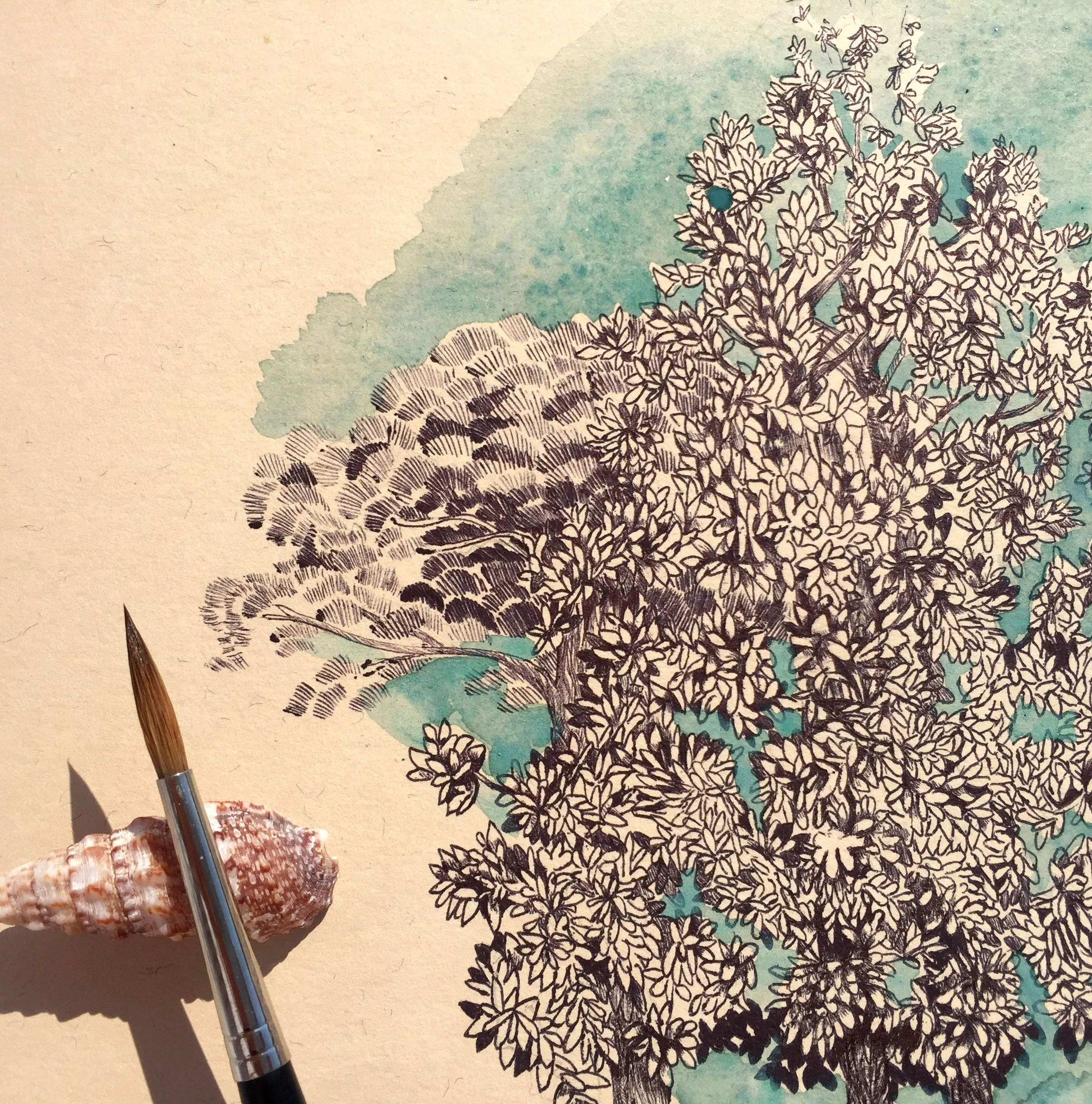 Detail image of Tree from Skanderbeg Square