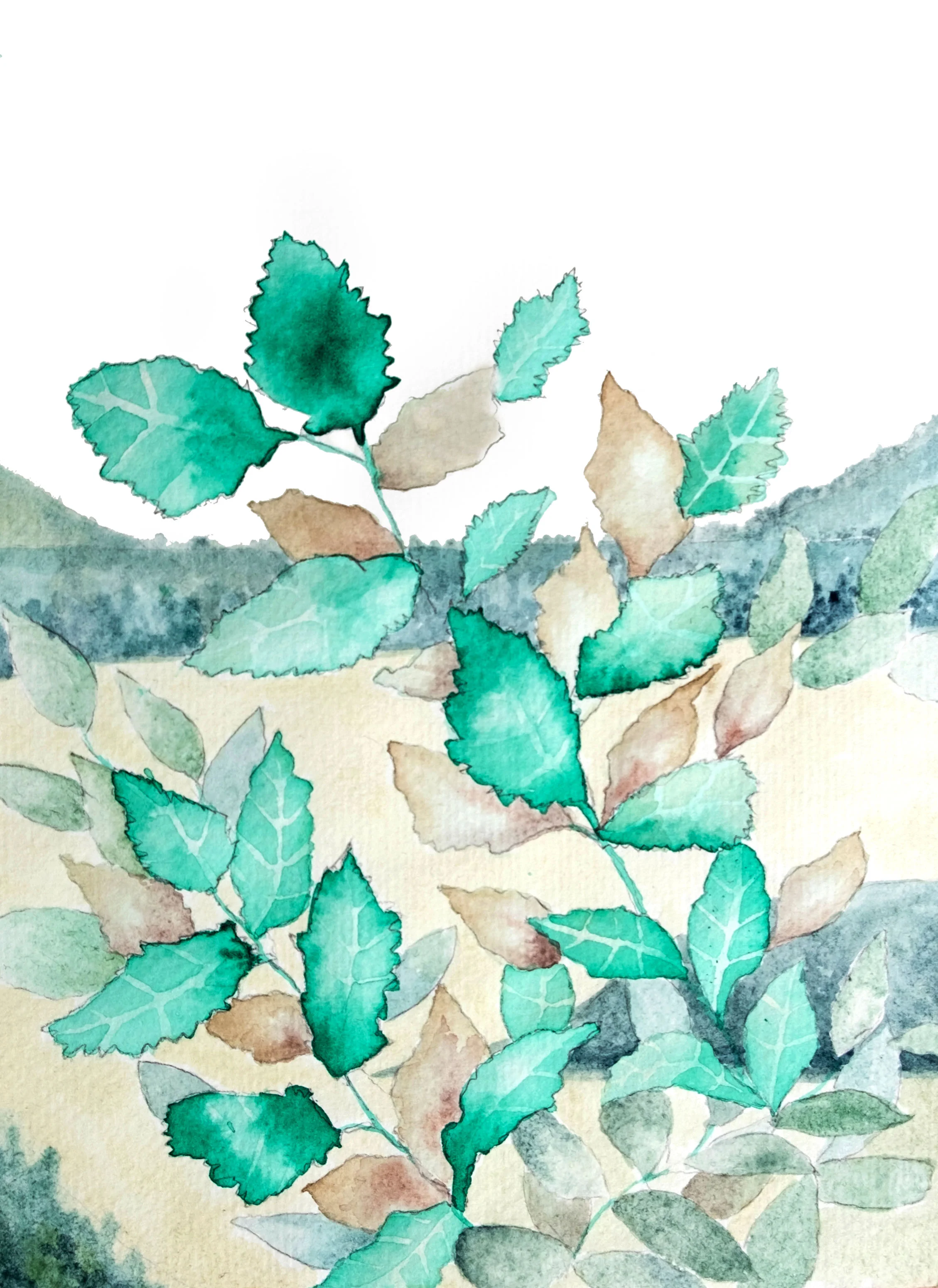 Bush Leaves