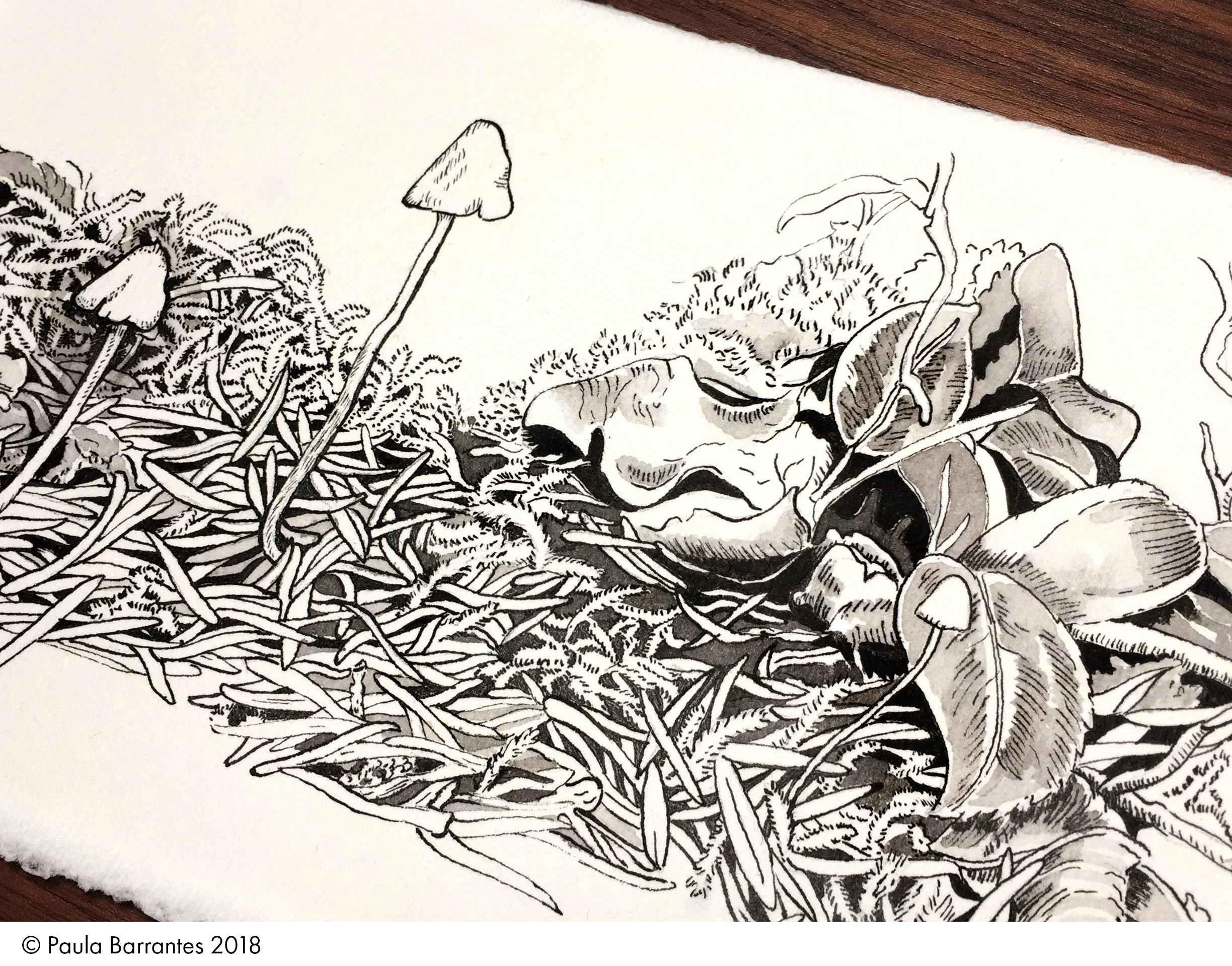  WORKSHOP - HATCHING WITH PEN &amp; INK