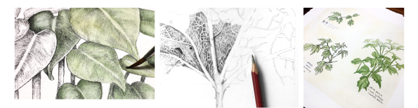 Botanical-I-Workshop-Poster-A5.jpg