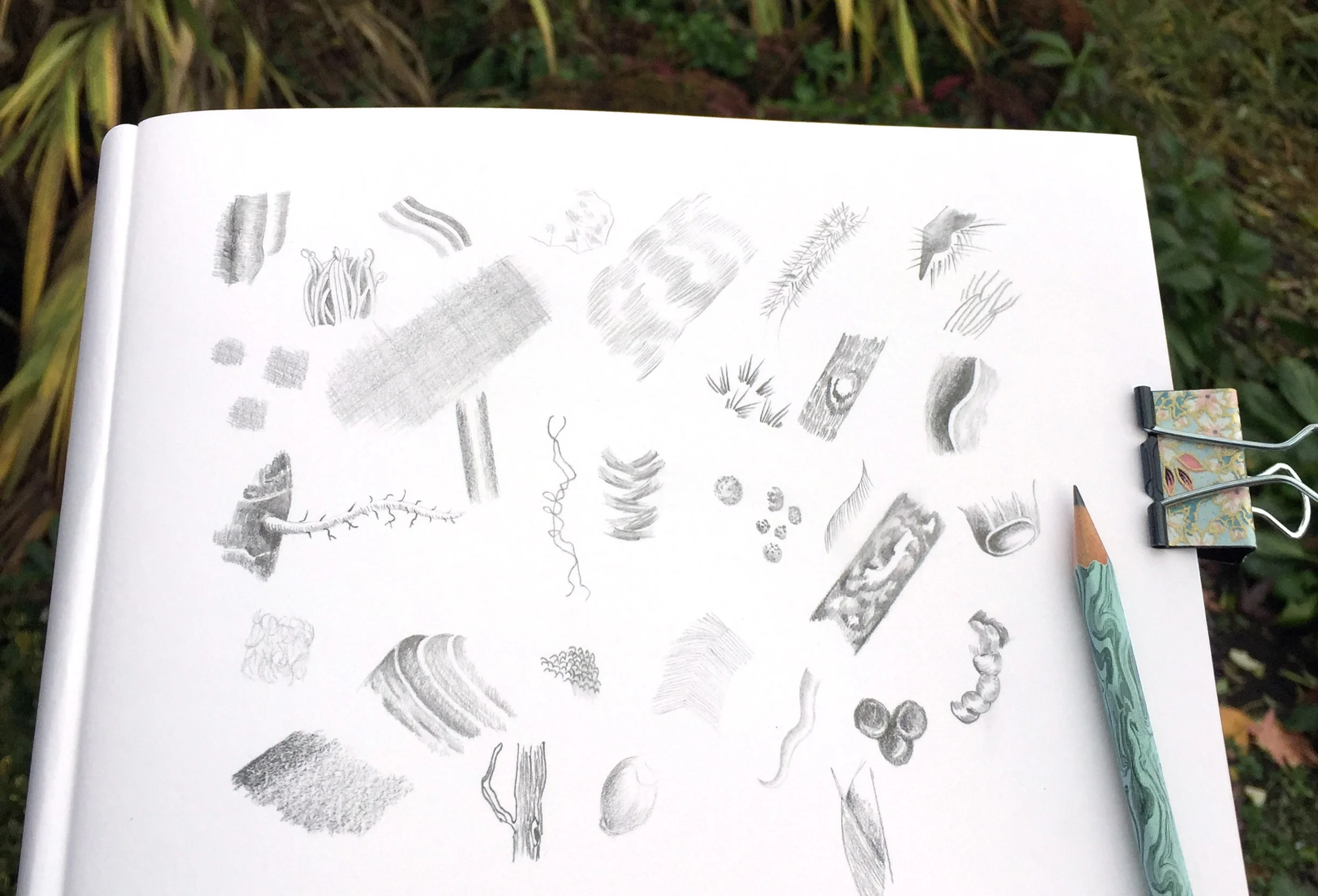 Textures from nature: mark making with pencil.