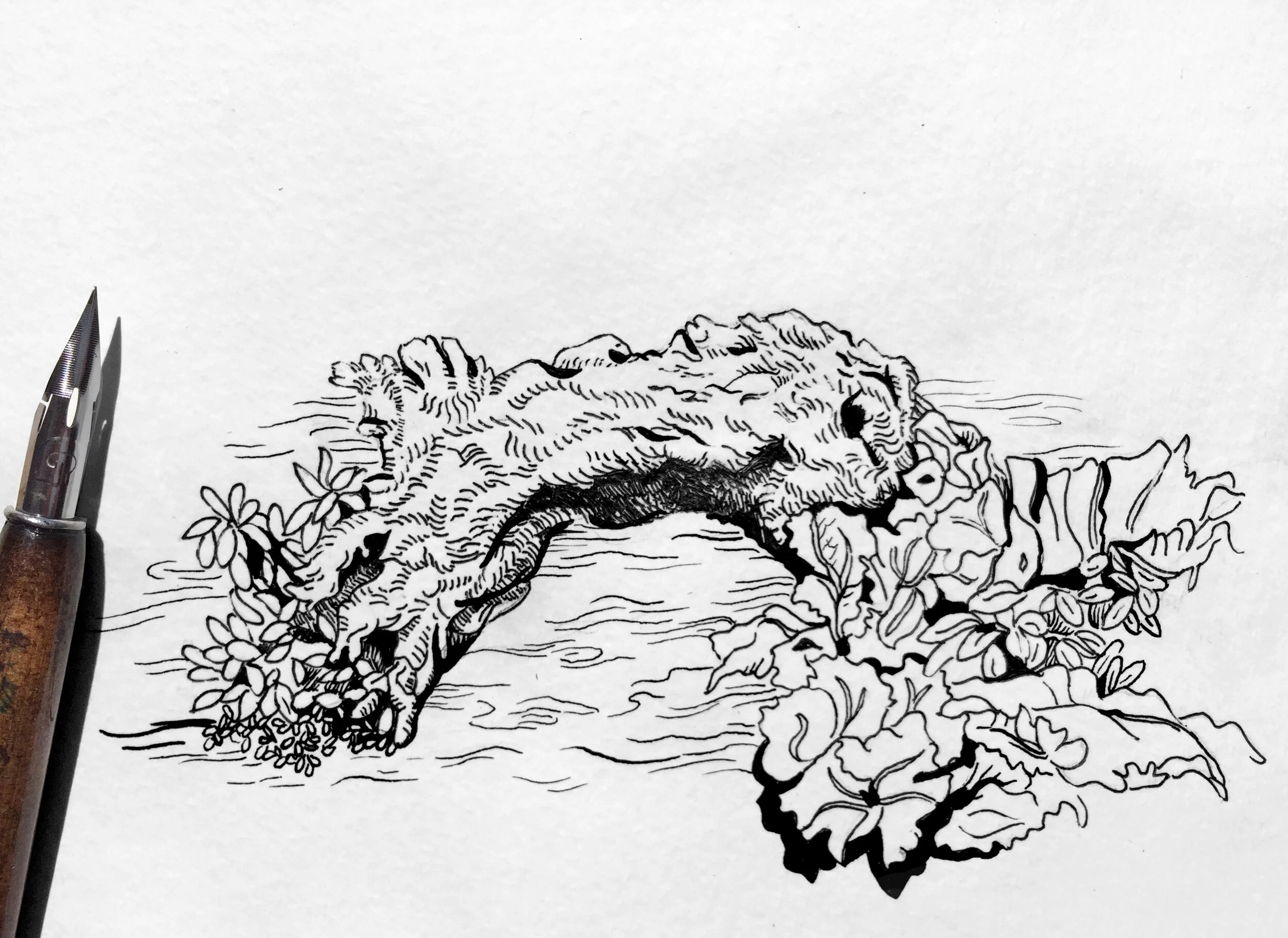 Pen&Ink110.jpg