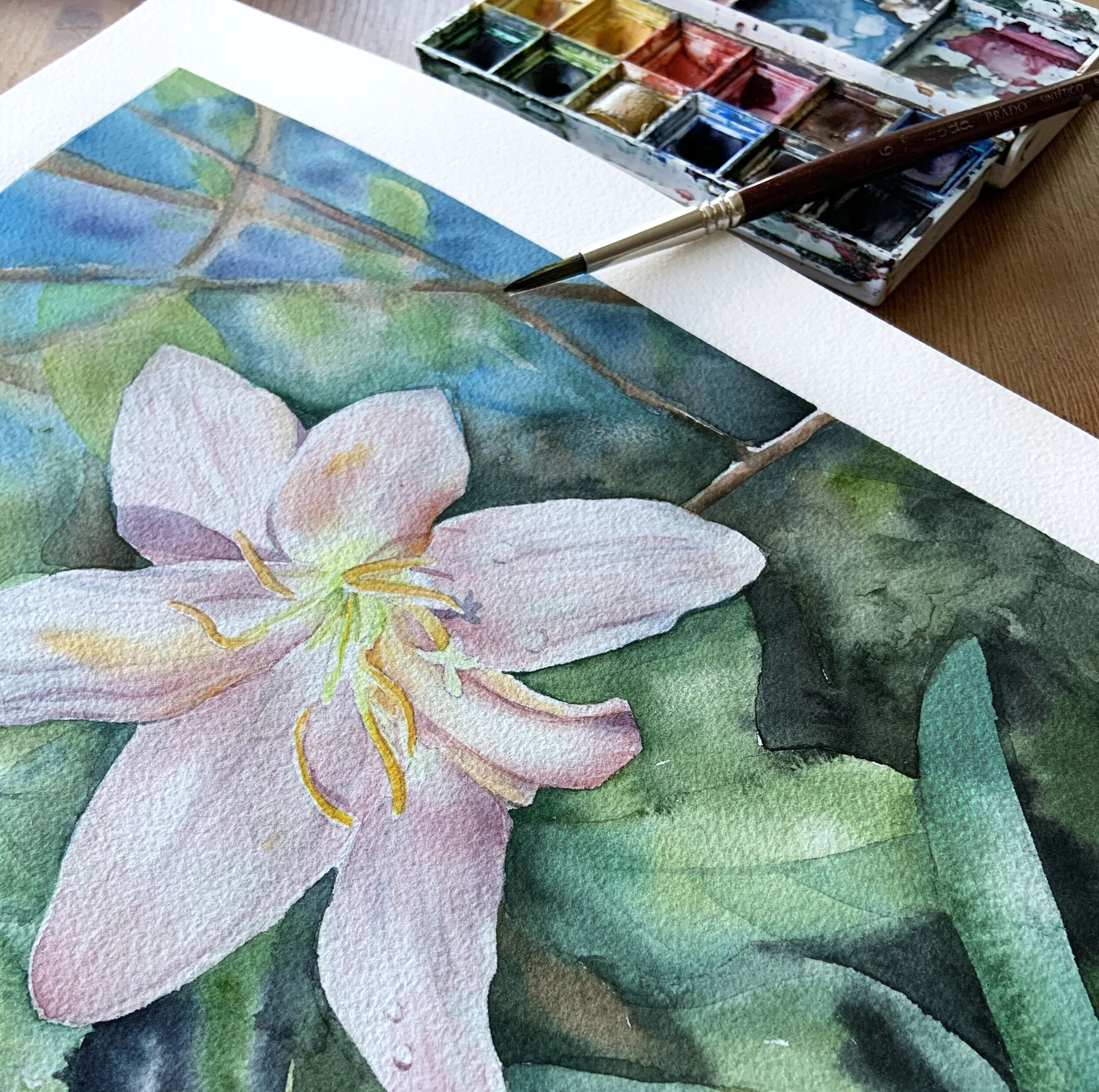 Intermediate&nbsp;Watercolour Painting