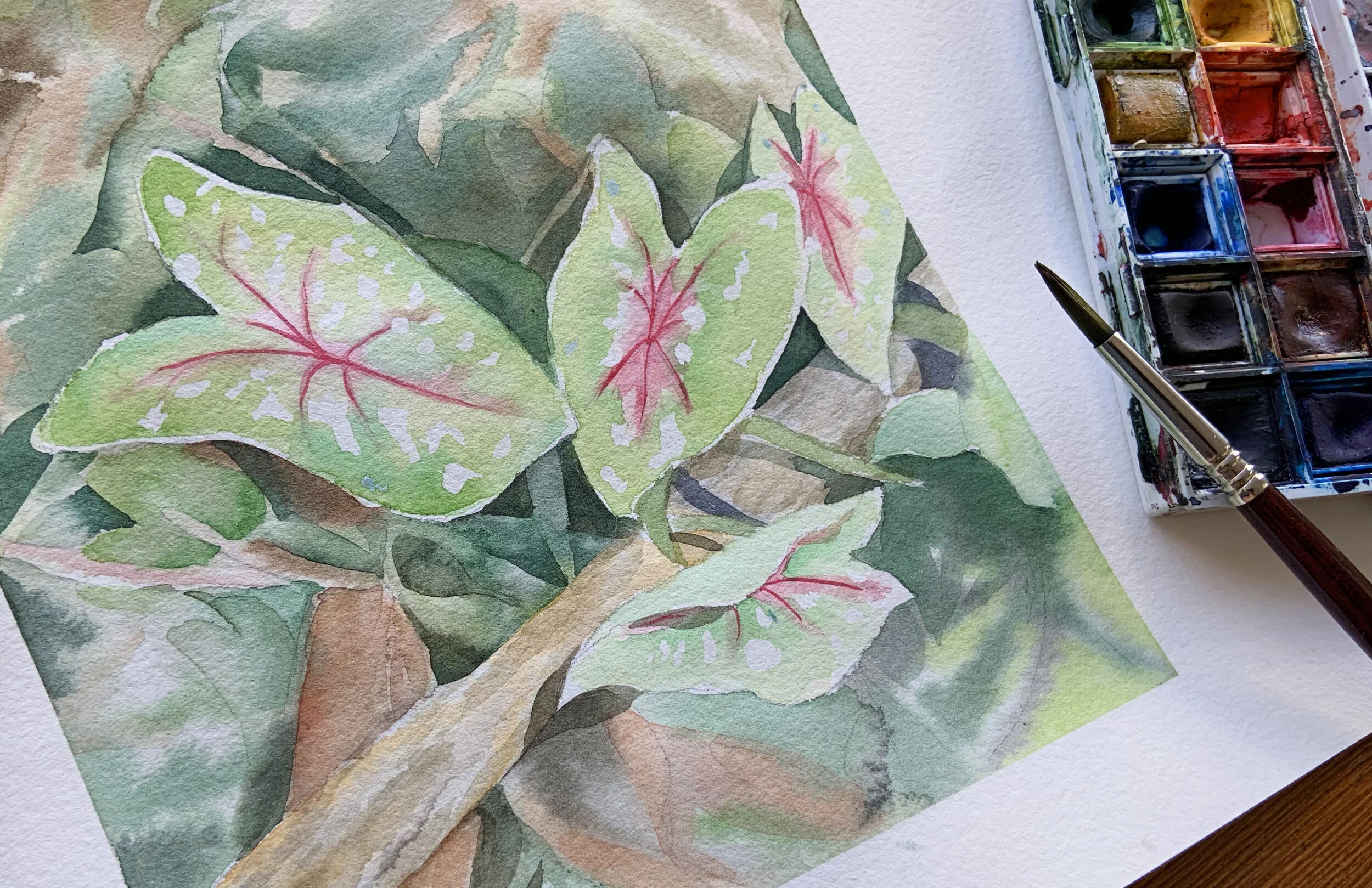 watercolorclassII.jpg